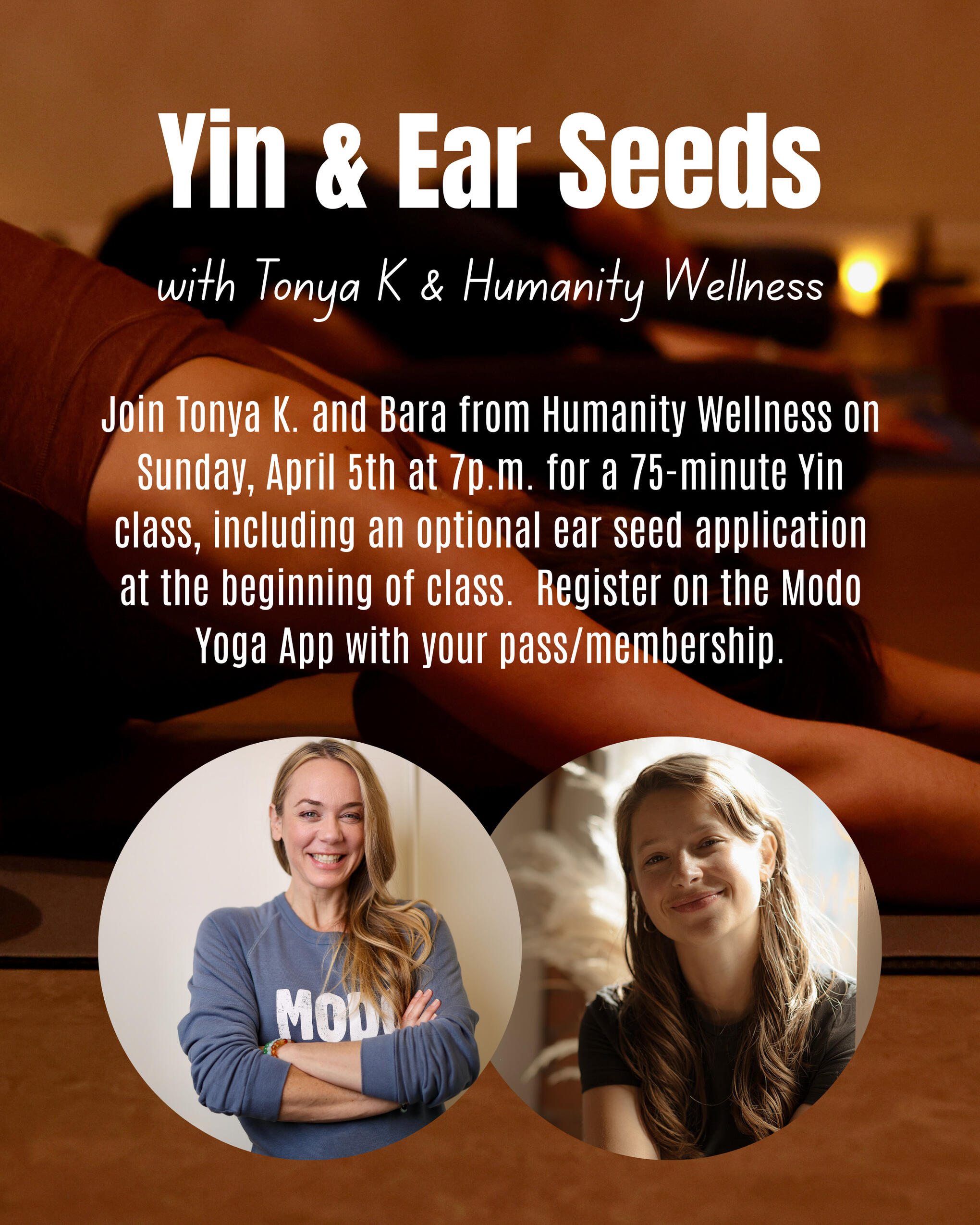 Yin + Ear Seeds